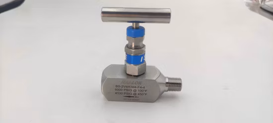 Valve à aiguille droite femelle réglable, 6000psi SS316 1/2 NPT